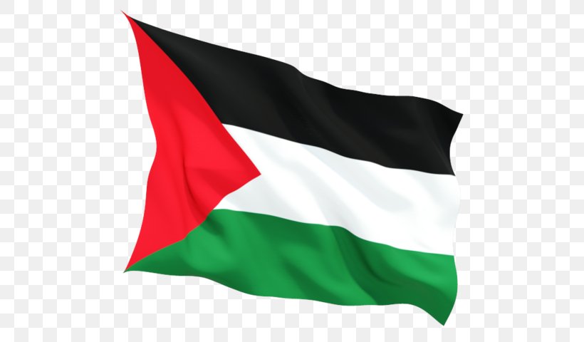 Detail Download Gambar Bendera Palestina Nomer 12