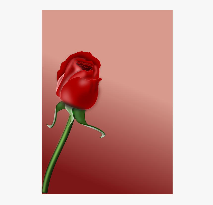 Download Gambar Bunga Cinta - KibrisPDR