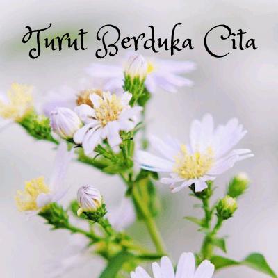 Detail Download Gambar Bunga Duka Cita Nomer 15