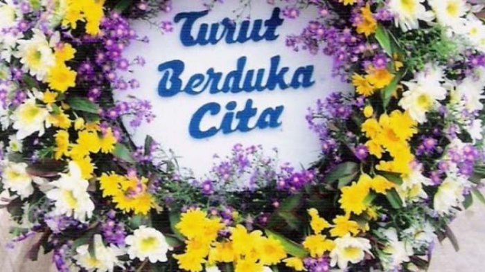 Detail Download Gambar Bunga Duka Cita Nomer 16
