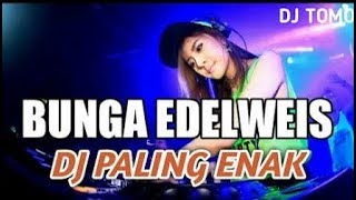 Detail Download Gambar Bunga Edelweis Nomer 38