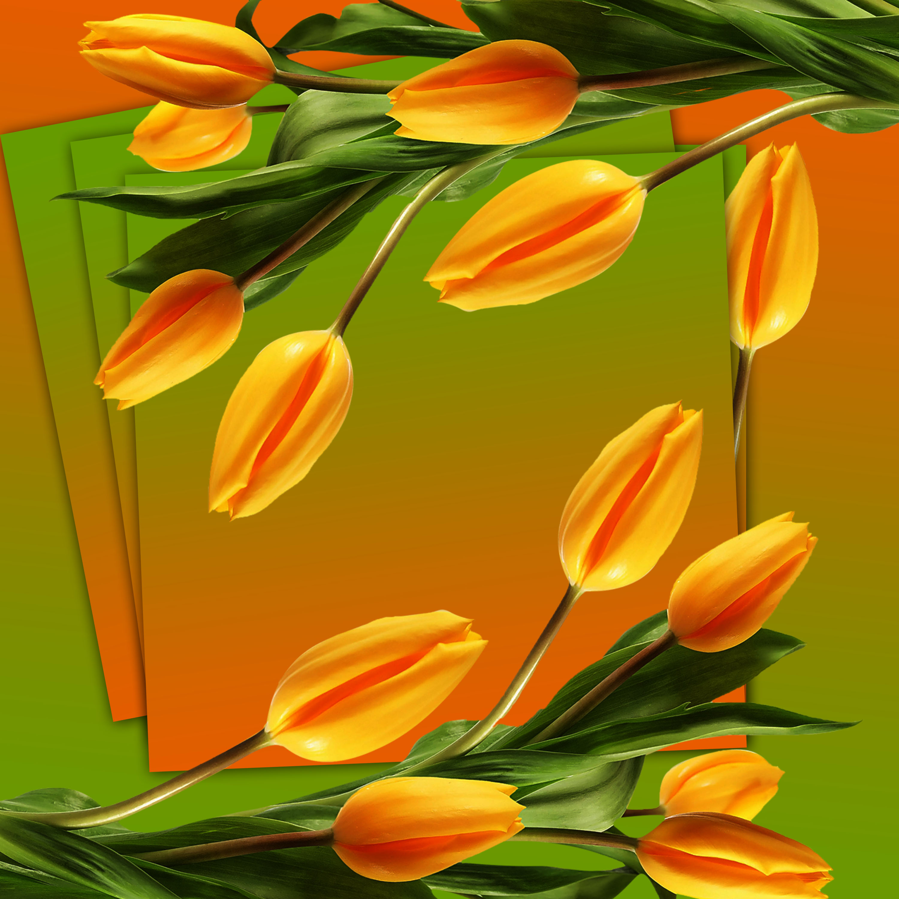 Detail Download Gambar Bunga Hidup Nomer 15