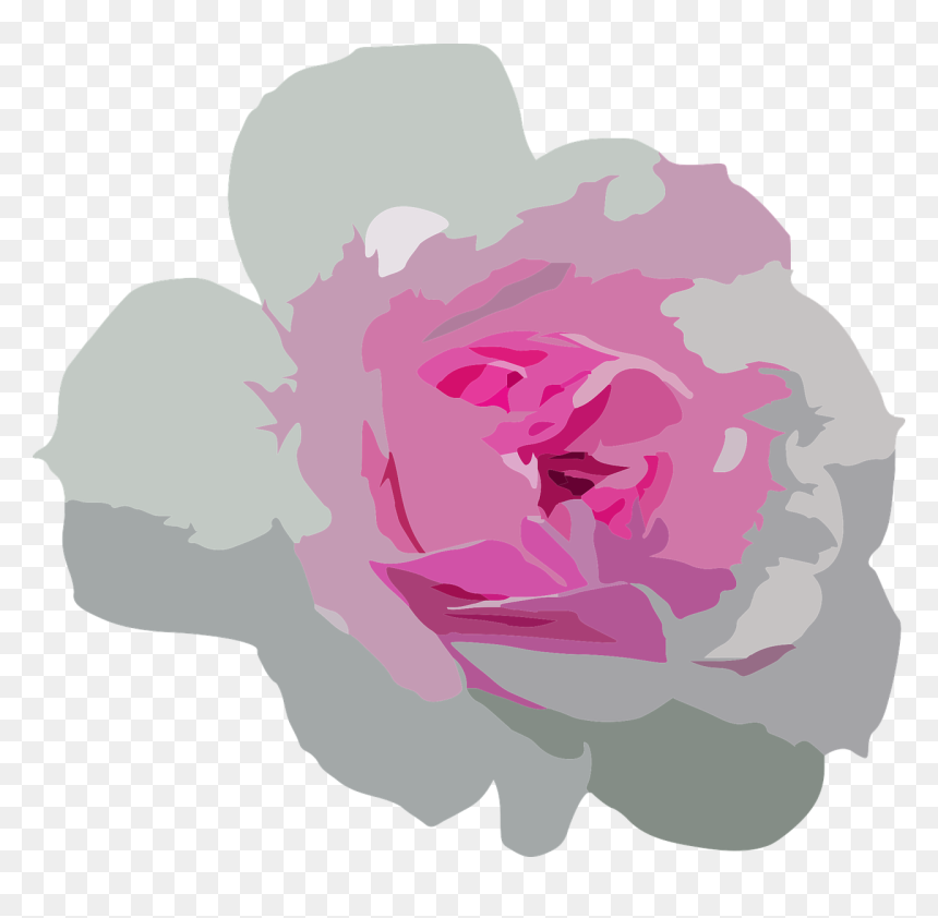 Detail Download Gambar Bunga Mawar Putih Nomer 43