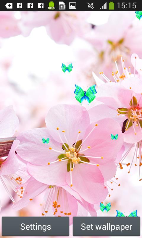 Detail Download Gambar Bunga Sakura Bergerak Nomer 19