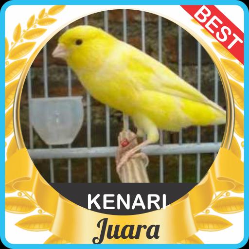 Detail Download Gambar Burung Kenari Nomer 27