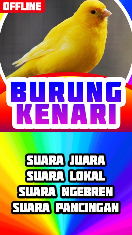 Detail Download Gambar Burung Kenari Nomer 51