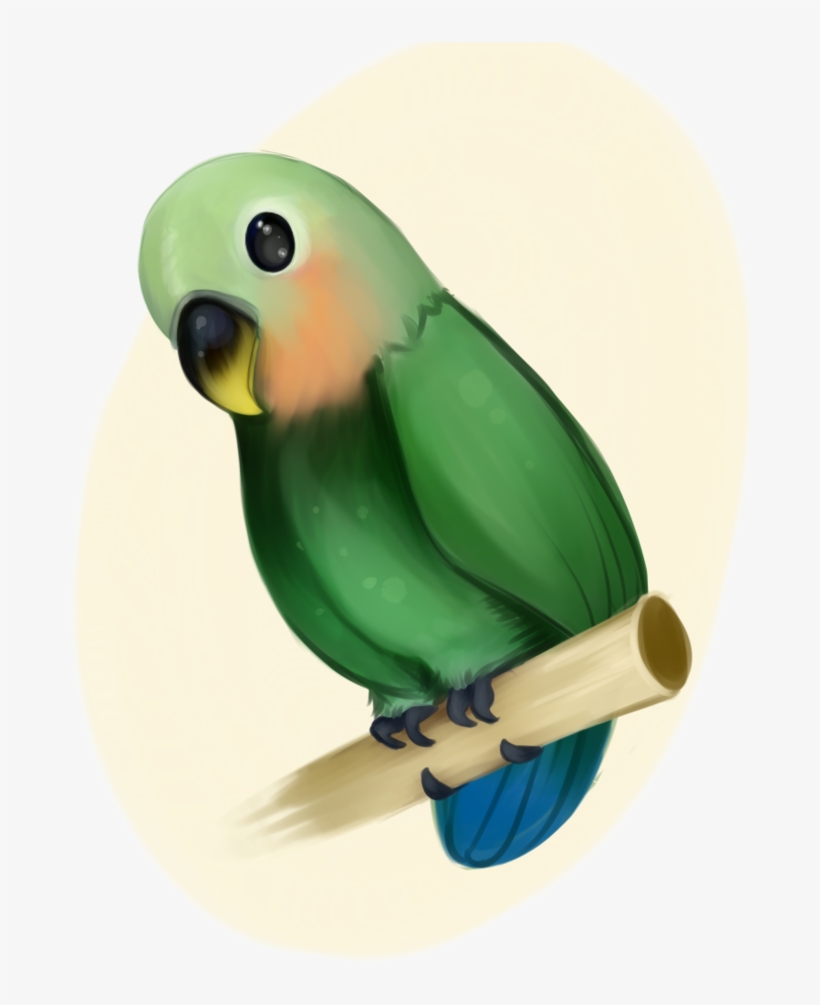 Detail Download Gambar Burung Lovebird Nomer 22