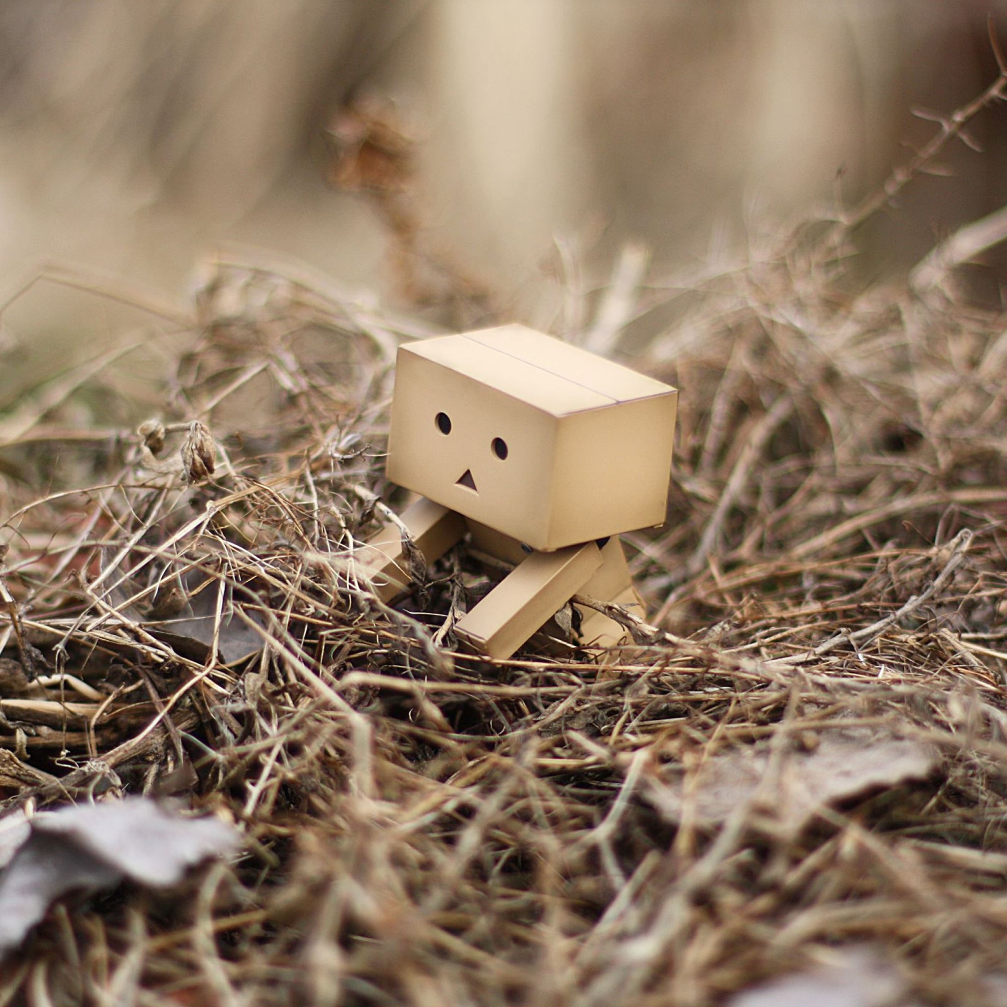 Detail Download Gambar Danbo Nomer 5