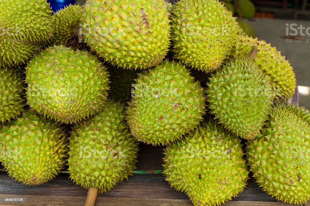 Detail Download Gambar Durian Nomer 13