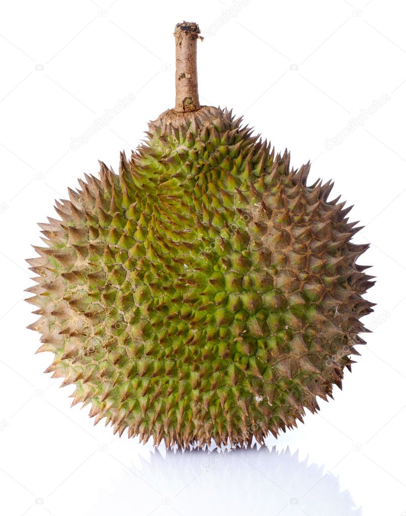 Detail Download Gambar Durian Nomer 33
