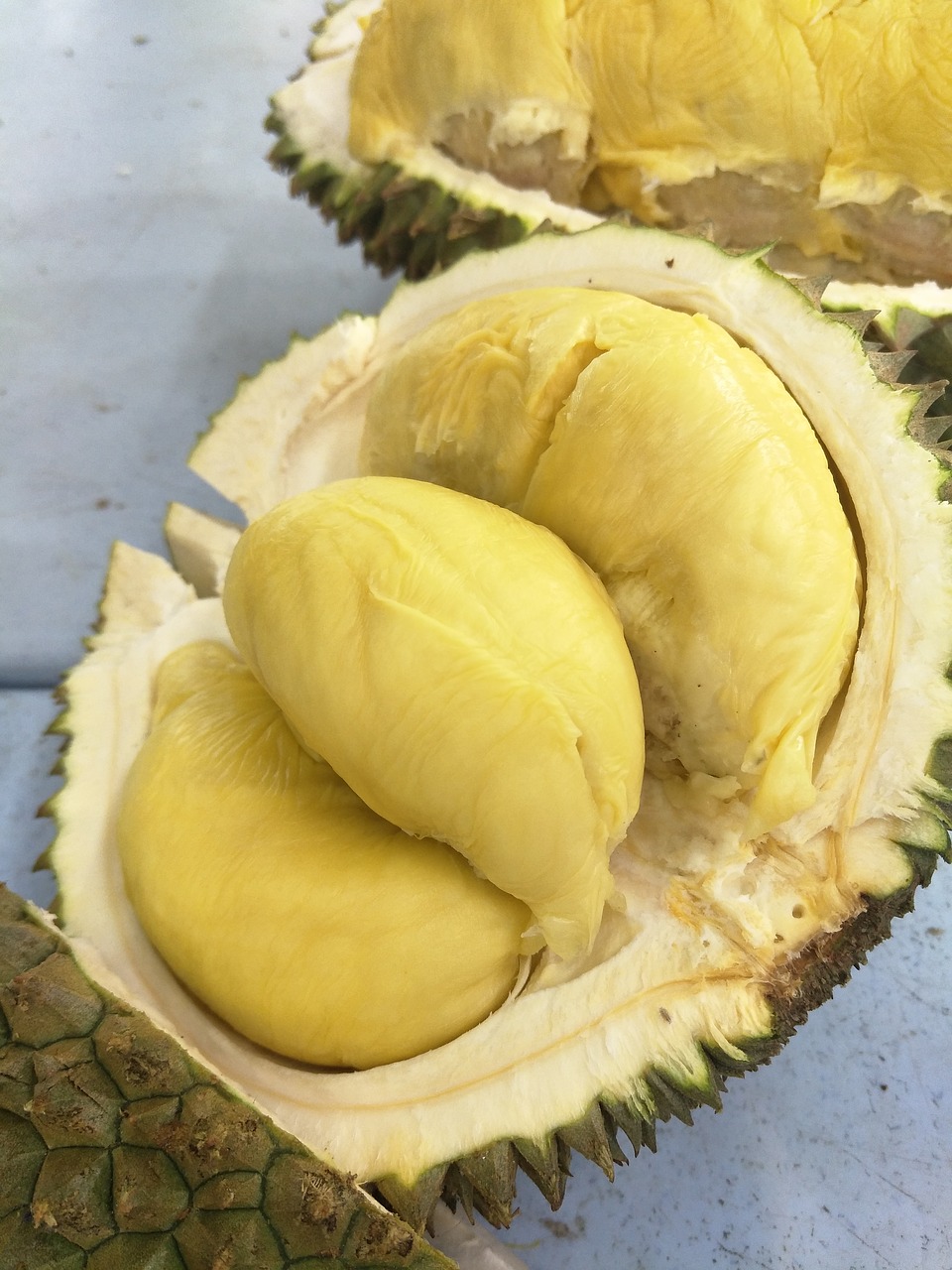 Detail Download Gambar Durian Nomer 47