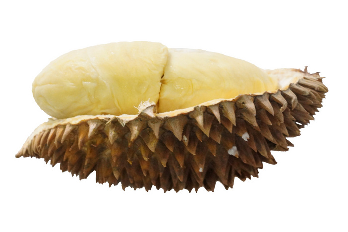Detail Download Gambar Durian Nomer 52