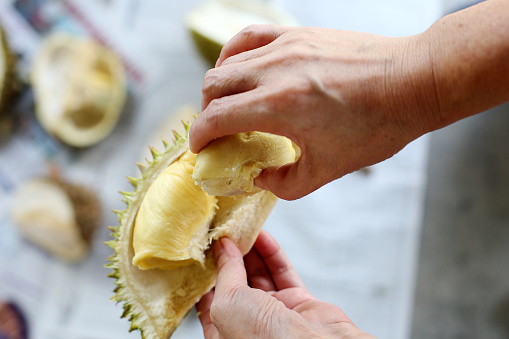 Detail Download Gambar Durian Nomer 54
