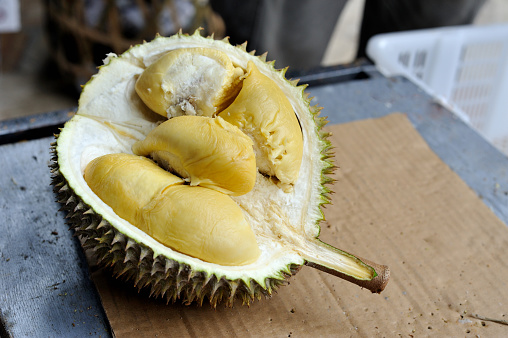 Detail Download Gambar Durian Nomer 10