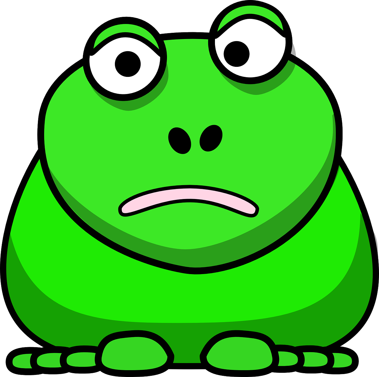 Detail Frog Face Nomer 14