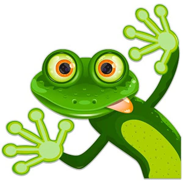 Detail Frog Face Nomer 18