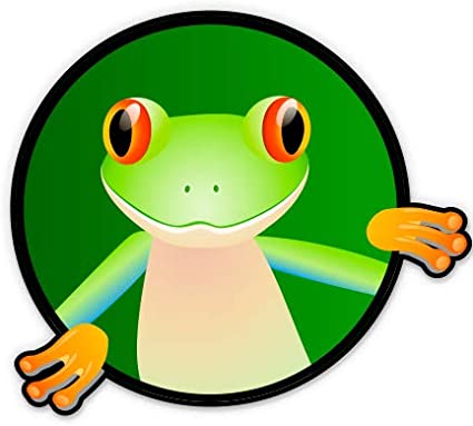 Detail Frog Face Nomer 19