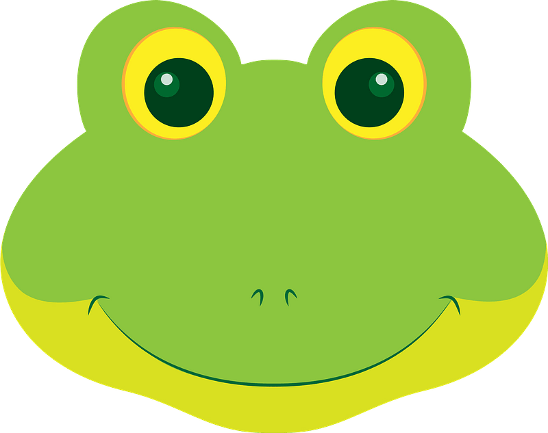 Detail Frog Face Nomer 6