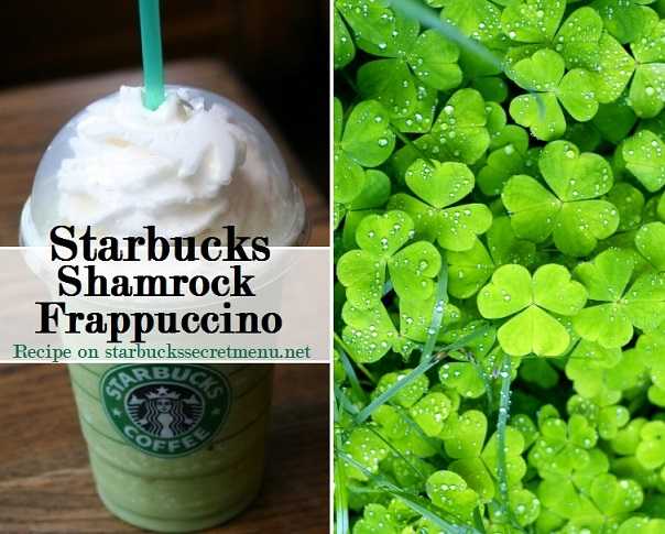 Detail Starbucks Shamrock Tea Nomer 19