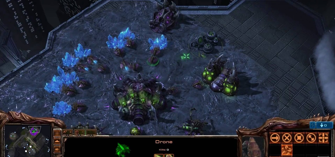 Detail Starcraft 2 Roach Nomer 48
