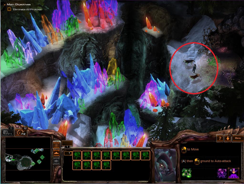 Detail Starcraft 2 Roach Nomer 50