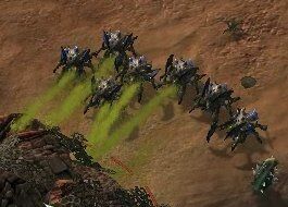 Detail Starcraft Roach Nomer 13