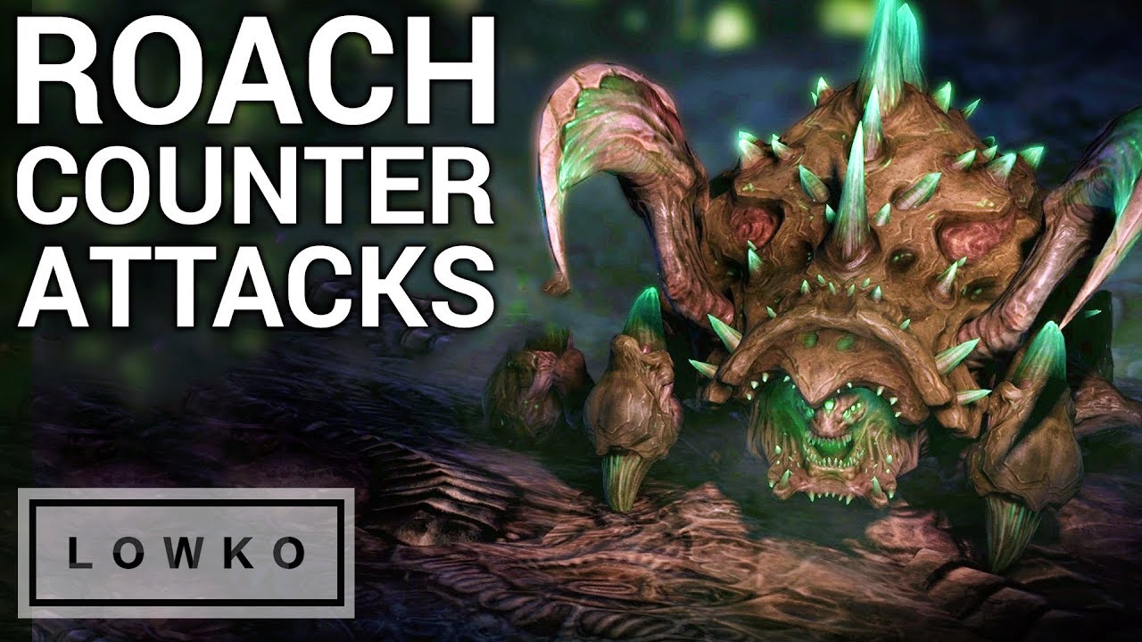 Detail Starcraft Roach Nomer 19