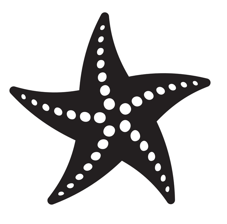 Detail Starfish Black And White Clipart Nomer 9