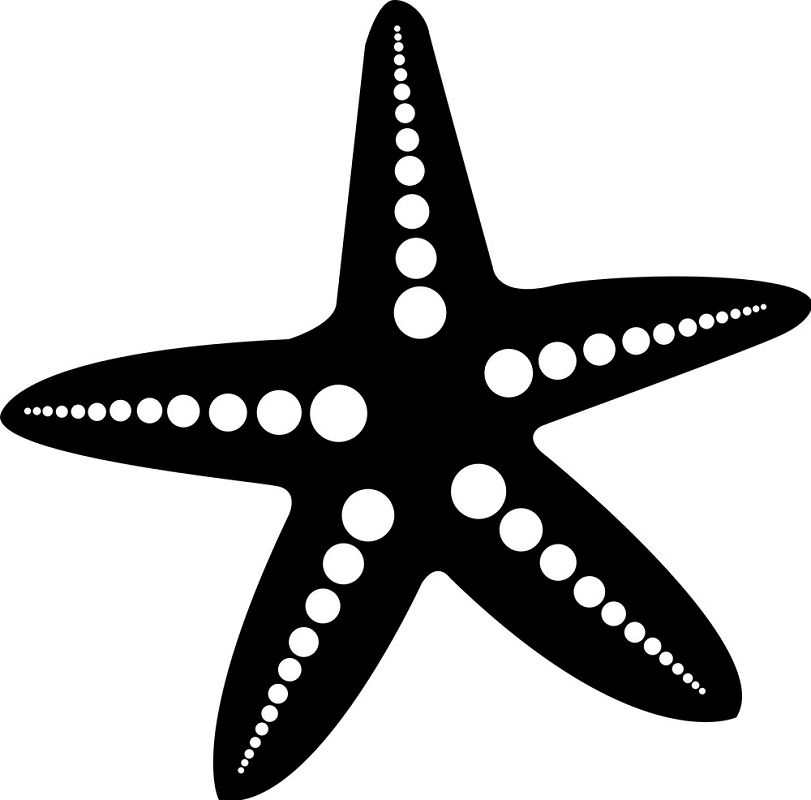 Detail Starfish Black And White Clipart Nomer 10