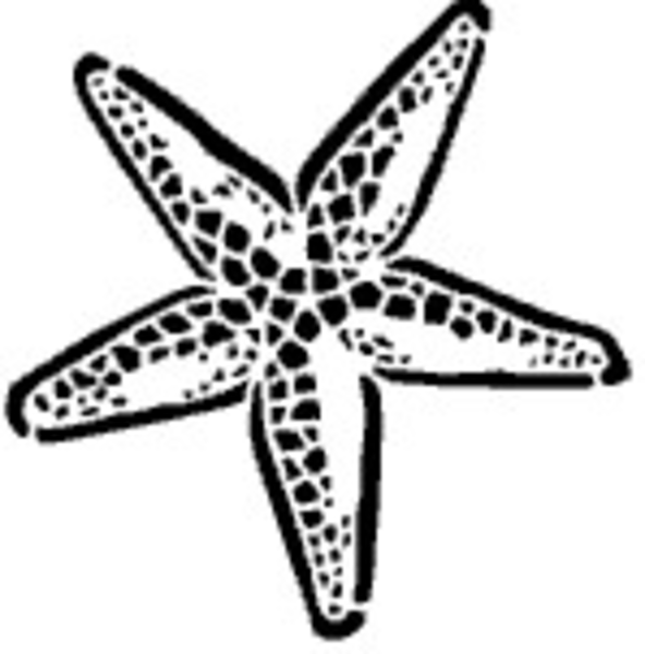 Detail Starfish Black And White Clipart Nomer 21