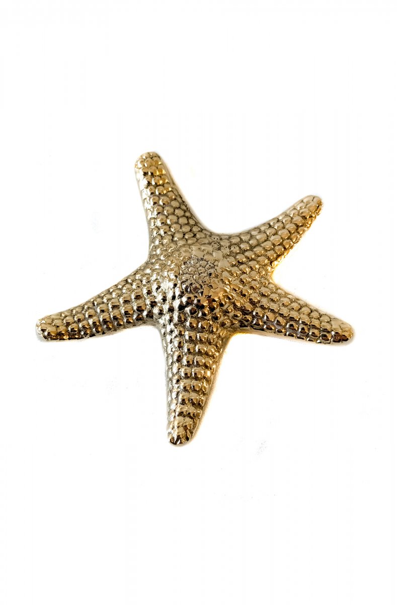 Detail Starfish Bottle Openers Nomer 36