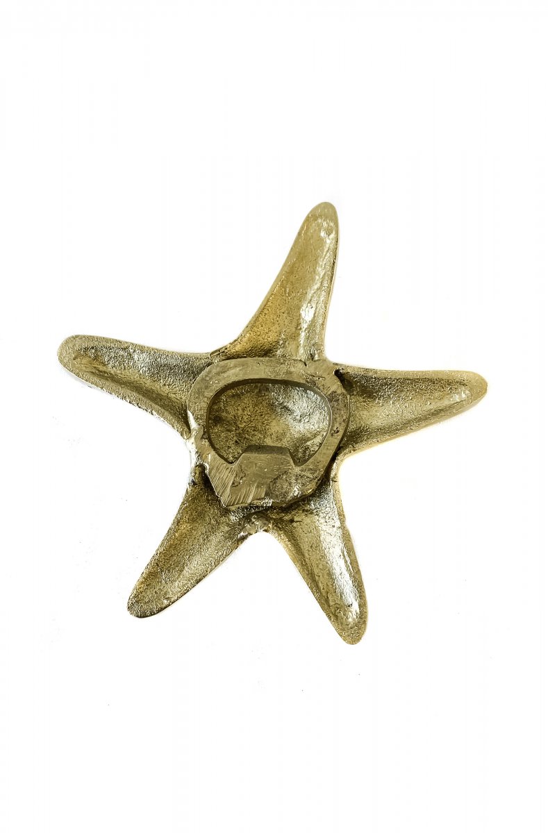 Detail Starfish Bottle Openers Nomer 42
