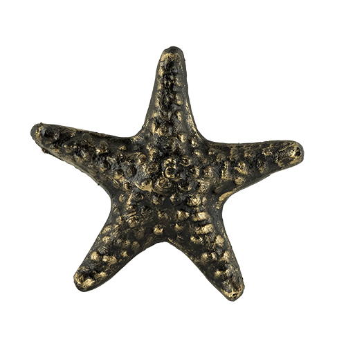 Detail Starfish Bottle Openers Nomer 46