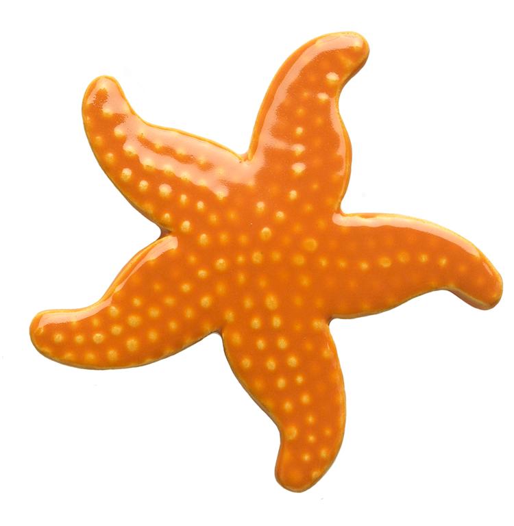 Detail Starfish Clip Art Free Nomer 12