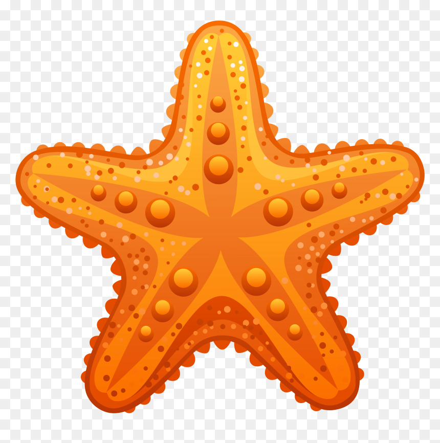 Detail Starfish Clip Art Free Nomer 14