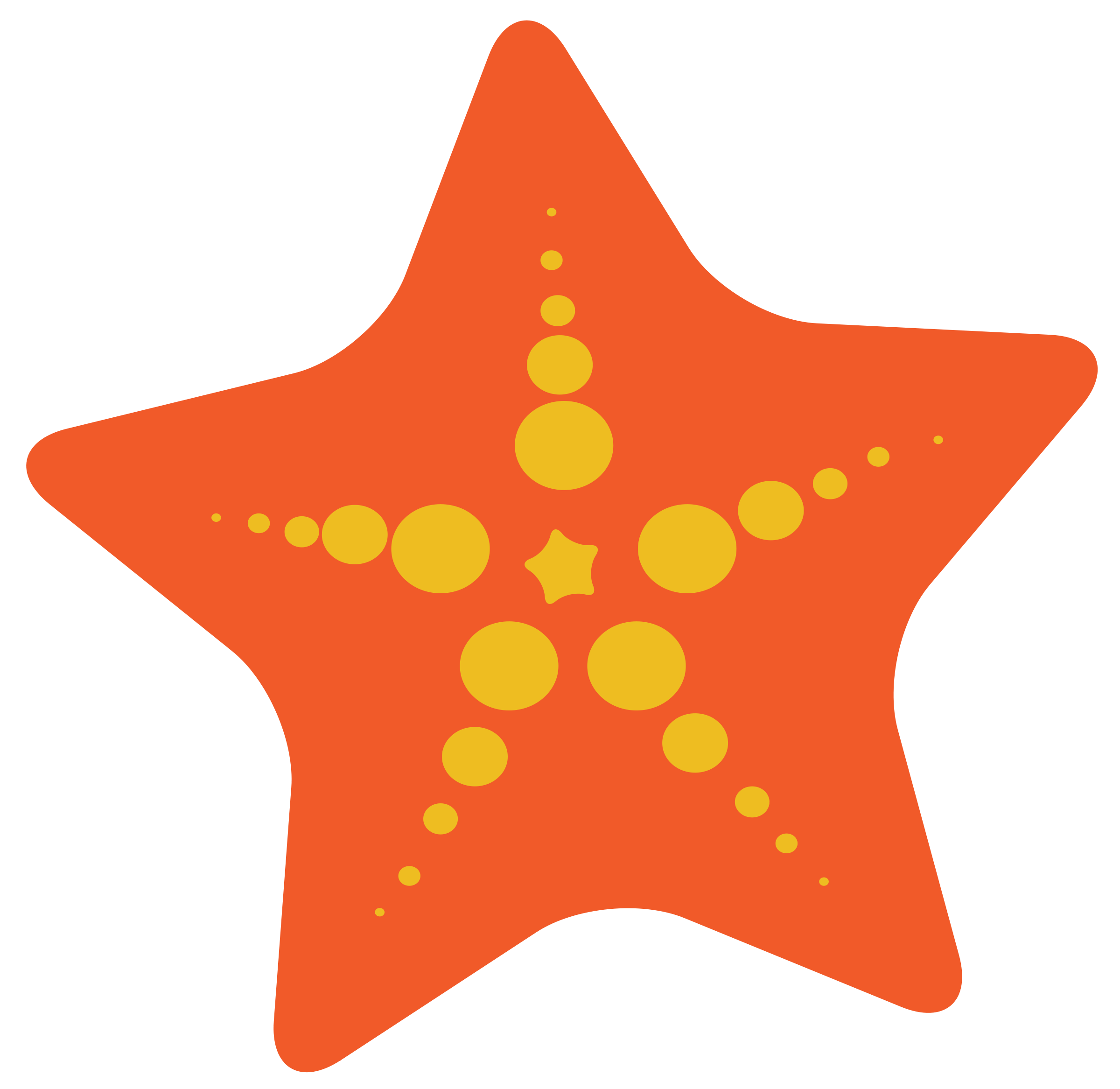 Detail Starfish Clip Art Free Nomer 15