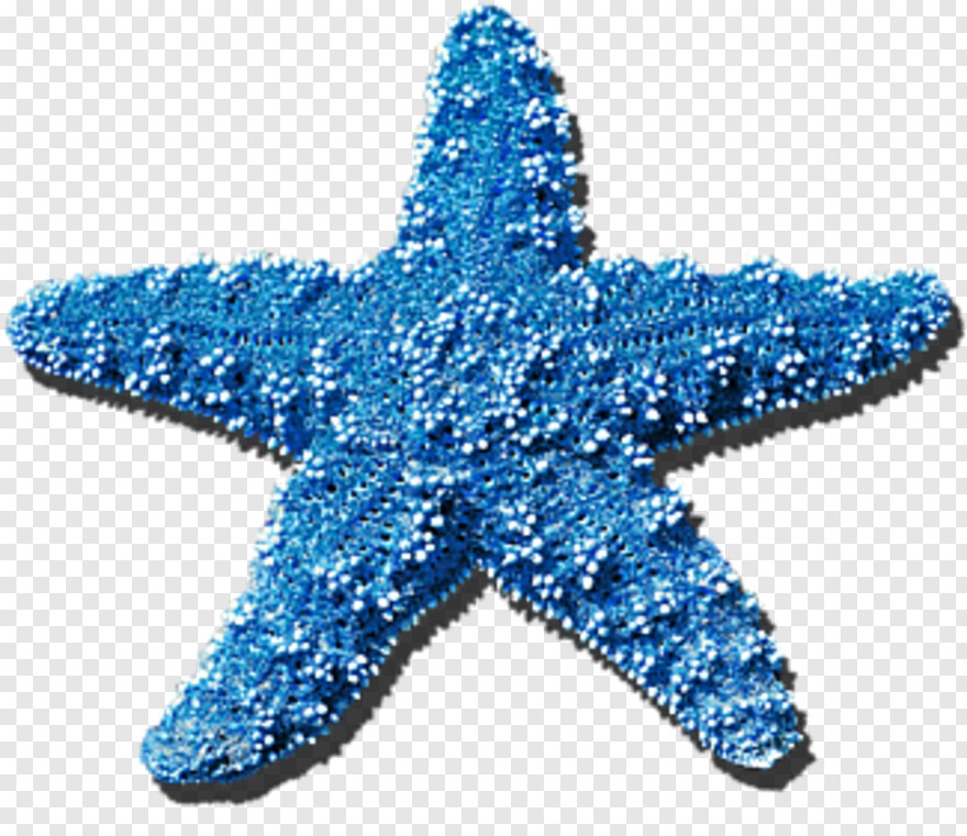 Detail Starfish Clip Art Free Nomer 30