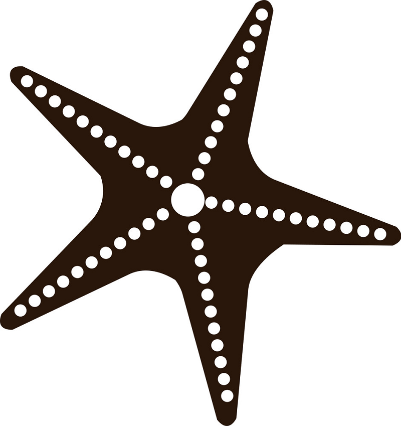 Detail Starfish Clipart Black And White Nomer 27