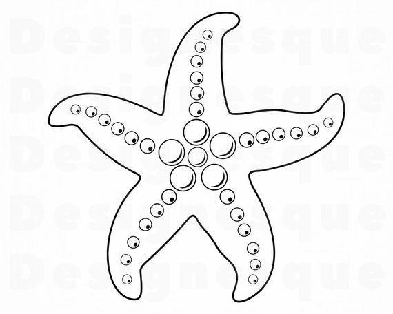 Detail Starfish Clipart Black And White Nomer 31