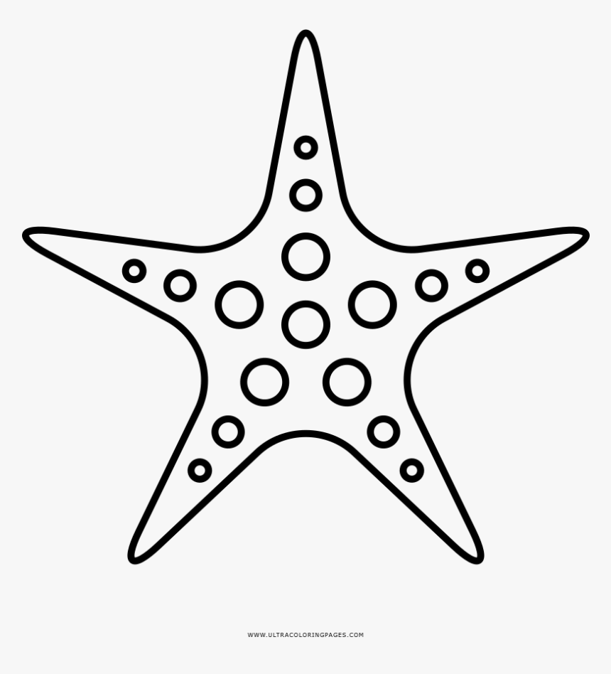 Detail Starfish Clipart Black And White Nomer 48