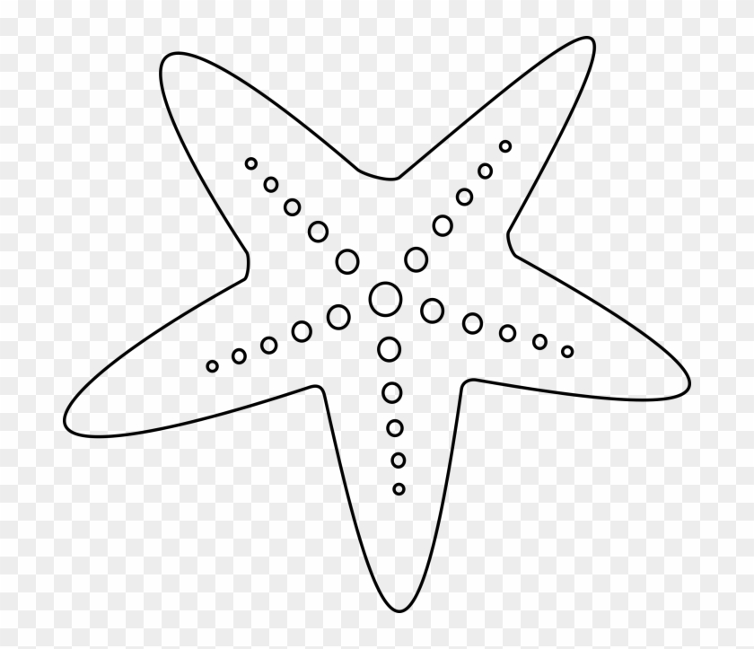 Detail Starfish Clipart Png Nomer 21