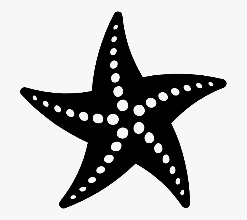 Detail Starfish Clipart Png Nomer 27