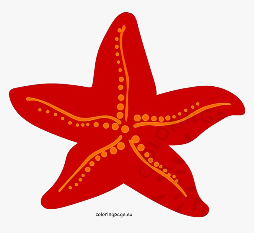 Detail Starfish Clipart Transparent Nomer 40