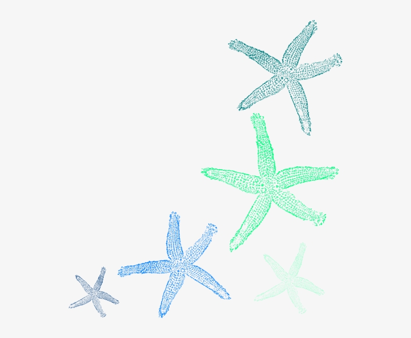 Detail Starfish Clipart Transparent Nomer 41