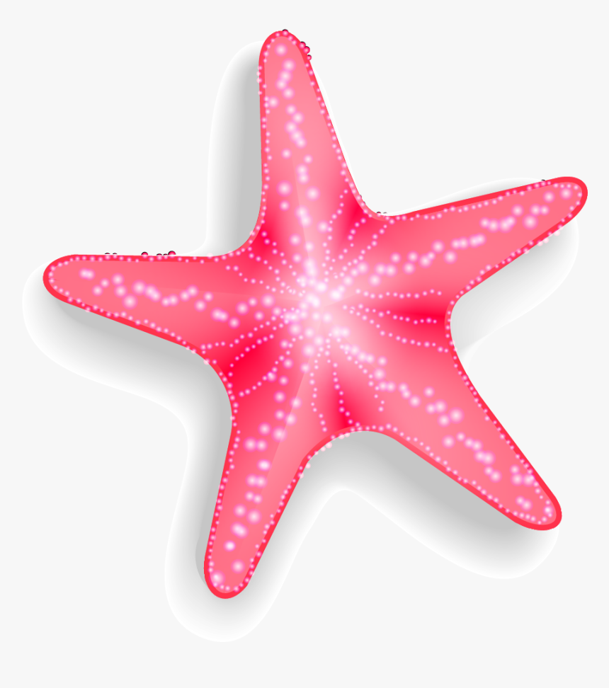 Detail Starfish Clipart Transparent Nomer 4