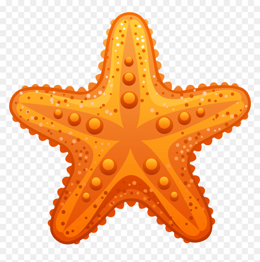 Detail Starfish Clipart Transparent Background Nomer 3