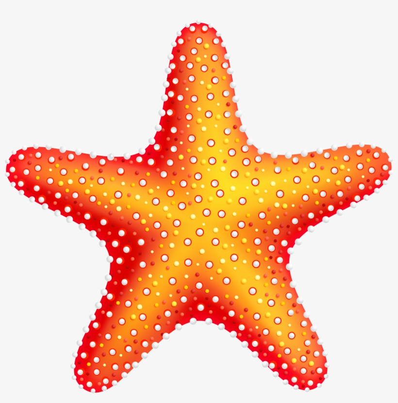 Detail Starfish Clipart Transparent Background Nomer 4