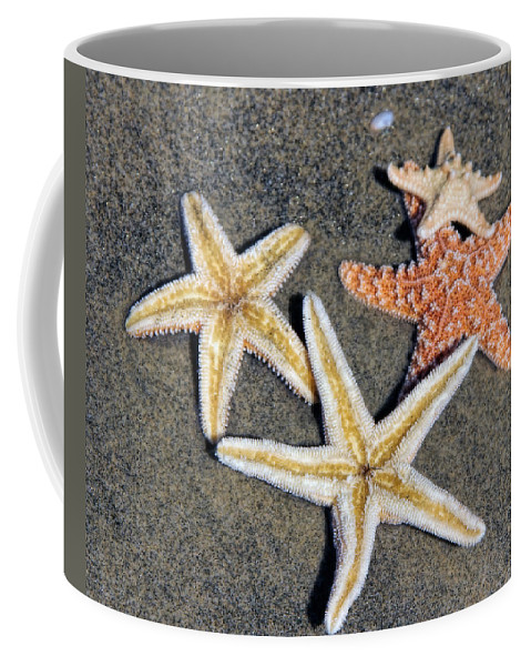 Detail Starfish Coffee Mug Nomer 13