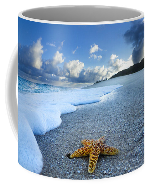 Detail Starfish Coffee Mug Nomer 39