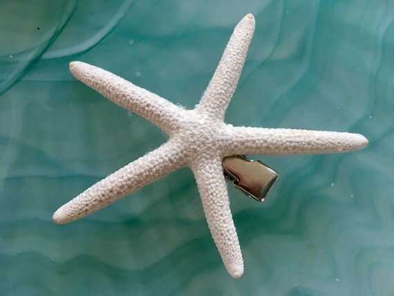Detail Starfish Hair Comb Nomer 24